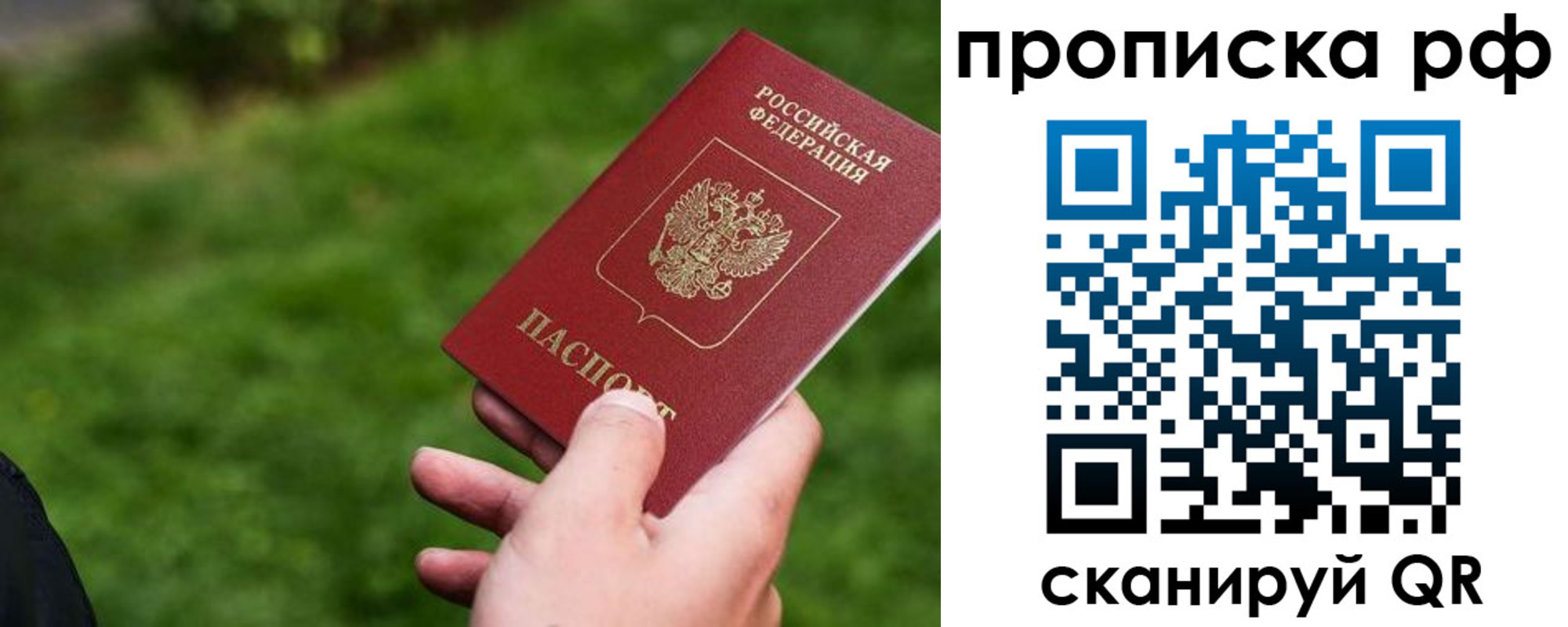 прописка для работы в Светогорске